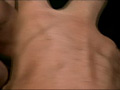 Digest Image 13