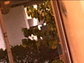 画像0190