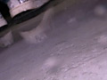 画像0287