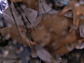 Digest Image 29