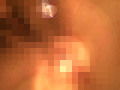 Digest Image 42