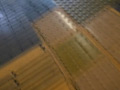 Digest Image 1