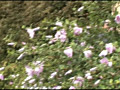 画像0149