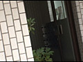 Digest Image 29