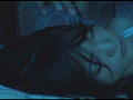Digest Image 17