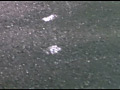 Digest Image 45