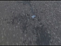 画像0186