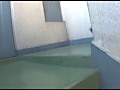 Digest Image 2