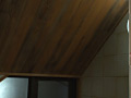 Digest Image 11