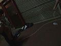 画像0121