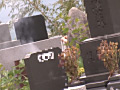 画像0036