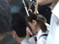 Digest Image 7