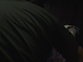 Digest Image 7