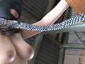 画像0082
