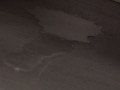 Digest Image 18