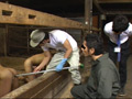 ゲイミルク牧場 食べる～人間牛を飼育する1