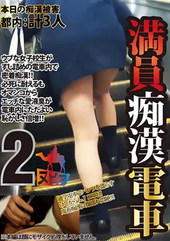 満員痴漢電車2