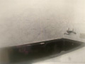 Digest Image 5