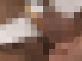 Digest Image 38