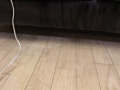 画像0053