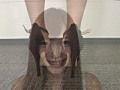 画像0110