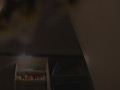 画像0101