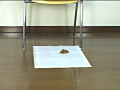 画像0092