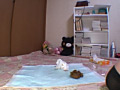 画像0192