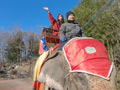 浜田翔子と行くぶらり湯けむり温泉旅