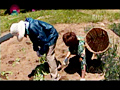 農村ナンパ！働き者の母ちゃんと畑でアヘアヘのサンプル画像2