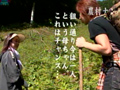 秋の農村ナンパ 母ちゃんや嫁と畑で裏山で青姦しまくり | DUGAエロ動画データベース