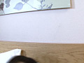 画像0064