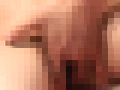 画像0095