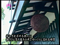 温泉コンパニオンとヤリたい！4 in 静岡県熱海市のサンプル画像8