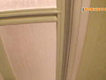 画像0050