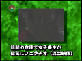 Digest Image 30