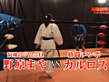 画像0088