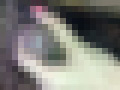 画像0078