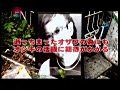 Digest Image 48