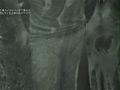 Digest Image 42