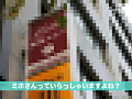 画像0070