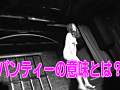 Digest Image 39