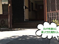 Digest Image 16