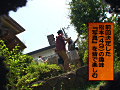 Digest Image 21