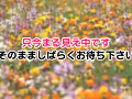 Digest Image 37
