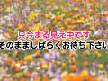 画像0072