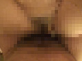 Digest Image 48
