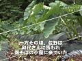 画像0082