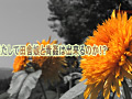 Digest Image 3