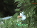 画像0055